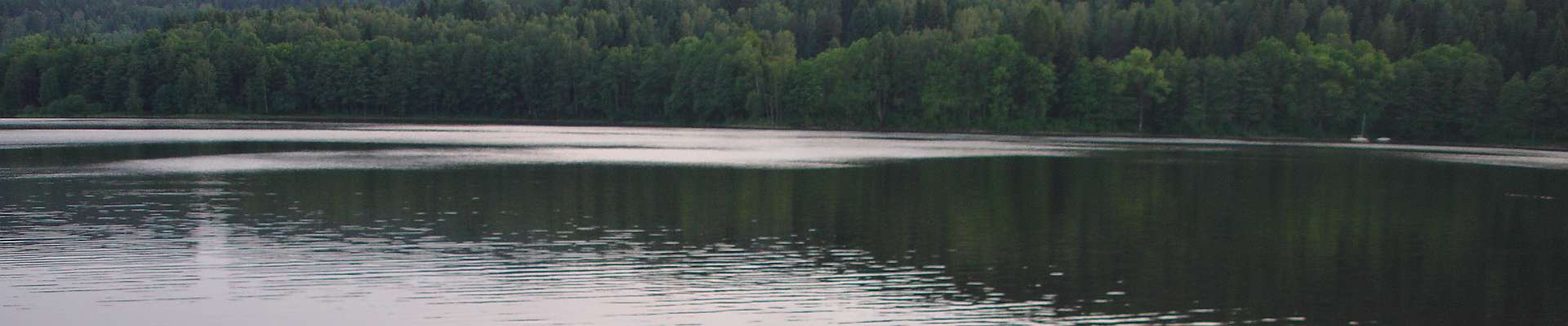 Klik om de knoppen te tonen of te verbergen