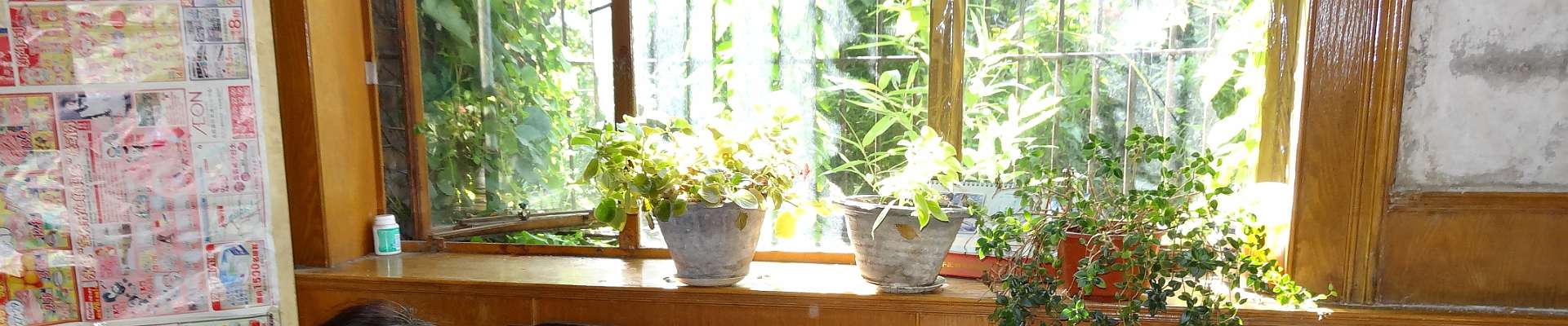 Klik om de knoppen te tonen of te verbergen