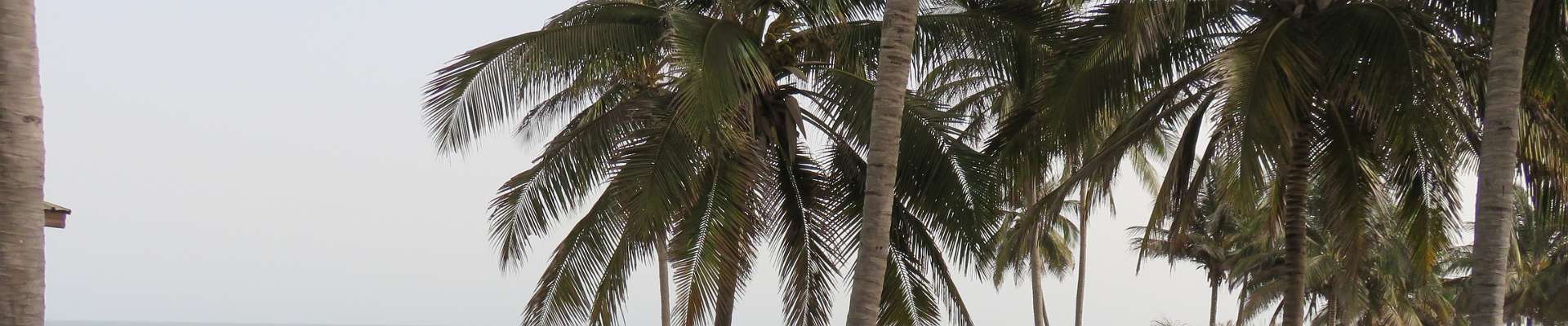 Klik om de knoppen te tonen of te verbergen