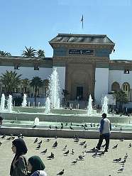 17: 2025_09_25_13_15_IMG_0792