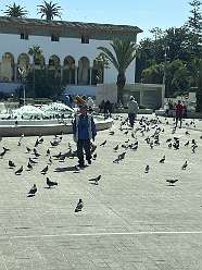 18: 2025_09_25_13_15_IMG_0793