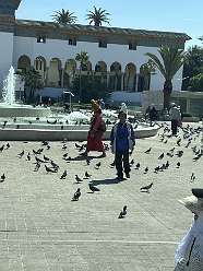 19: 2025_09_25_13_15_IMG_0794