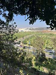 21: 2025_09_25_17_16_IMG_0795