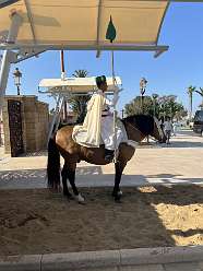 30: 2025_09_25_17_21_IMG_0801