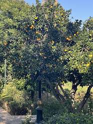 39: 2025_09_25_18_14_IMG_0811