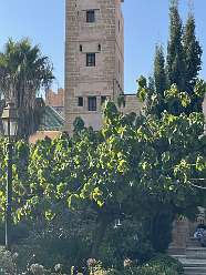 40: 2025_09_25_18_19_IMG_0812