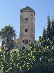 41: 2025_09_25_18_19_IMG_0813