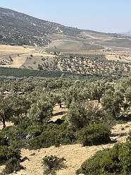 61: 2025_09_26_12_46_IMG_0836