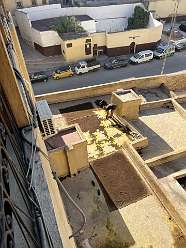 76: 2025_09_27_10_24_IMG_0855