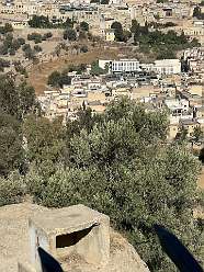 78: 2025_09_27_11_22_IMG_0858