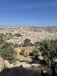 80: 2025_09_27_11_26_IMG_0860