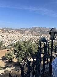 81: 2025_09_27_11_26_IMG_0861