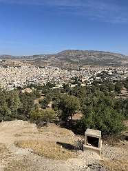 83: 2025_09_27_11_29_IMG_0867