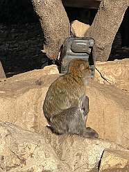 94: 2025_09_28_10_20_IMG_0889