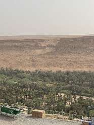 99: 2025_09_28_17_09_IMG_0897