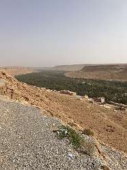 101: 2025_09_28_17_11_IMG_0899