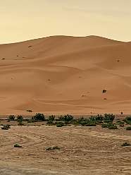 107: 2025_09_29_08_34_IMG_0919