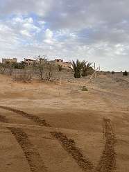 110: 2025_09_29_09_20_IMG_0925