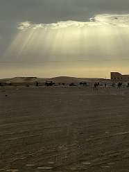 112: 2025_09_29_09_28_IMG_0931