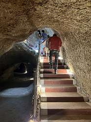 114: 2025_09_29_11_17_IMG_0938