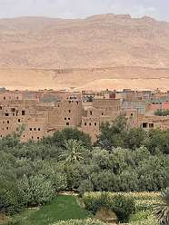 116: 2025_09_29_13_35_IMG_0940