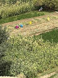 119: 2025_09_29_13_37_IMG_0943