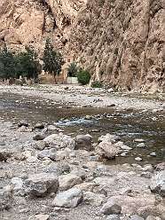 124: 2025_09_29_15_38_IMG_0952