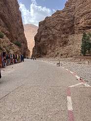 125: 2025_09_29_15_43_IMG_0953