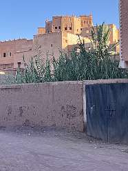 132: 2025_10_01_09_27_IMG_0969