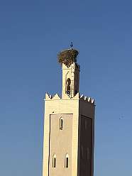 135: 2025_10_01_09_31_IMG_0972