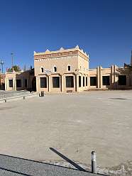 141: 2025_10_01_09_51_IMG_0978