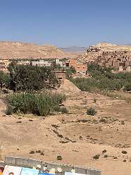 151: 2025_10_01_12_15_IMG_0993