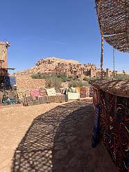 152: 2025_10_01_12_29_IMG_0996