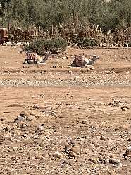 154: 2025_10_01_12_32_IMG_0998