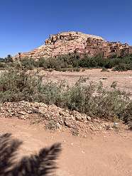 159: 2025_10_01_13_04_IMG_1004