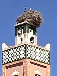 160: 2025_10_01_13_16_IMG_1005