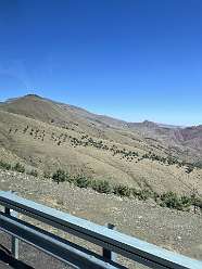 164: 2025_10_01_15_53_IMG_1035