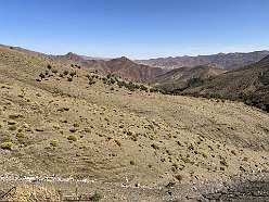 165: 2025_10_01_15_55_IMG_1036