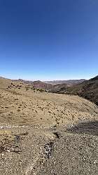 166: 2025_10_01_15_55_IMG_1037