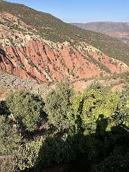 179: 2025_10_01_17_15_IMG_1051