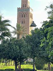 181: 2025_10_02_10_10_IMG_1070