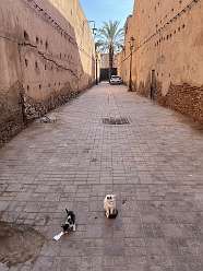 186: 2025_10_02_11_45_IMG_1077