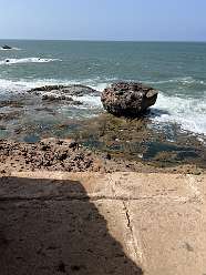 216: 2025_10_04_14_20_IMG_1163