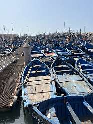 219: 2025_10_04_14_45_IMG_1166