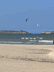 221: 2025_10_05_13_05_IMG_1173