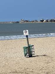 223: 2025_10_05_13_33_IMG_1176