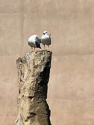 226: 2025_10_06_13_13_IMG_1190